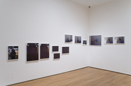 Installation photo, 12 of 17