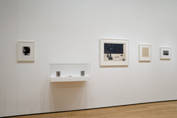 Installation photo, 20 of 33