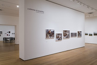 a shimmer of possibility. Photographs by Paul Graham. Feb 4–May 18, 2009.
