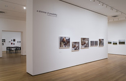 Installation photo, 1 of 17
