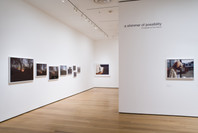 a shimmer of possibility. Photographs by Paul Graham. Feb 4–May 18, 2009.