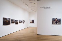 Installation photo, 7 of 17