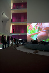 Installation photo, 8 of 32