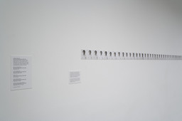 Installation photo, 4 of 15