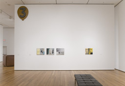 Installation photo, 15 of 60