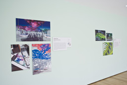 Installation photo, 5 of 6