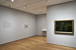 Installation photo, 8 of 25