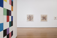 Color Chart: Reinventing Color, 1950 to Today. Mar 2–May 12, 2008. 1 other work identified