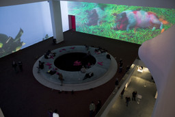 Installation photo, 10 of 32