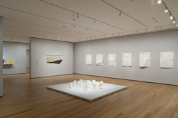 Installation photo, 6 of 15