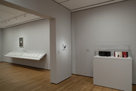 Paper: Pressed, Stained, Slashed, Folded. Mar 11–Jun 22, 2009. 3 other works identified