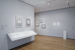 Installation photo, 14 of 15