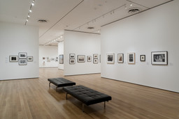 Installation photo, 12 of 32