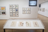 Stage Pictures: Drawing for Performance. Mar 11–Sep 7, 2009. 19 other works identified