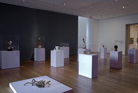The Erotic Object: Surrealist Sculpture from the Collection. Jun 24, 2009–Jan 4, 2010. 10 other works identified