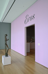Installation photo, 9 of 10