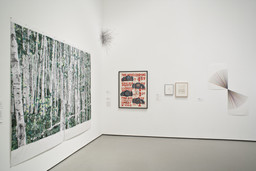 Installation photo, 16 of 72