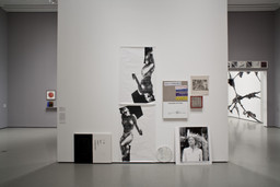 Installation photo, 26 of 72