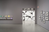 Compass in Hand: Selections from The Judith Rothschild Foundation Contemporary Drawings Collection. Apr 22, 2009–Jan 4, 2010. 3 other works identified
