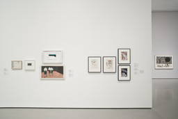 Installation photo, 34 of 72