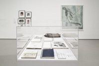 Compass in Hand: Selections from The Judith Rothschild Foundation Contemporary Drawings Collection. Apr 22, 2009–Jan 4, 2010. 5 other works identified