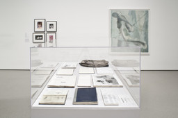 Installation photo, 36 of 72