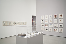 Installation photo, 37 of 72