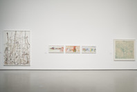 Compass in Hand: Selections from The Judith Rothschild Foundation Contemporary Drawings Collection. Apr 22, 2009–Jan 4, 2010. 2 other works identified