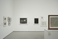 Compass in Hand: Selections from The Judith Rothschild Foundation Contemporary Drawings Collection. Apr 22, 2009–Jan 4, 2010. 3 other works identified