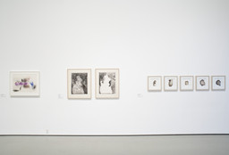 Installation photo, 2 of 72