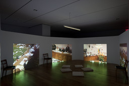 Installation photo, 5 of 18