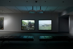 Installation photo, 17 of 18