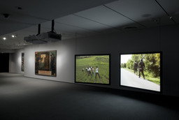 Installation photo, 9 of 13