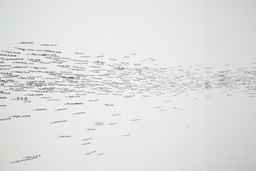 Installation photo, 6 of 29