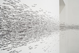 Installation photo, 12 of 29