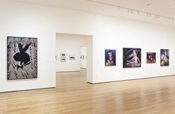 Installation photo, 9 of 12