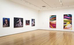 Installation photo, 10 of 12