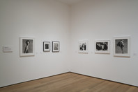 Photography Collection: Rotation 6. Aug 7, 2009–Mar 22, 2010. 5 other works identified
