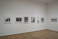 Photography Collection: Rotation 6. Aug 7, 2009–Mar 22, 2010. 7 other works identified