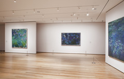 Installation photo, 10 of 19