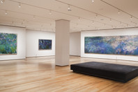 Monet’s Water Lilies. Sep 13, 2009–Apr 12, 2010. 1 other work identified