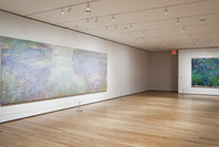 Monet’s Water Lilies. Sep 13, 2009–Apr 12, 2010. 1 other work identified