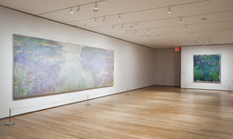Installation photo, 14 of 19