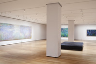 Monet’s Water Lilies. Sep 13, 2009–Apr 12, 2010. 1 other work identified