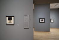 Photography Collection: Rotation 6. Aug 7, 2009–Mar 22, 2010. 2 other works identified