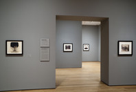 Photography Collection: Rotation 6. Aug 7, 2009–Mar 22, 2010. 3 other works identified