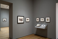 Photography Collection: Rotation 6. Aug 7, 2009–Mar 22, 2010. 6 other works identified