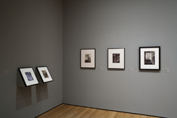 Installation photo, 6 of 27