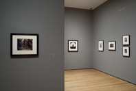 Photography Collection: Rotation 6. Aug 7, 2009–Mar 22, 2010. 5 other works identified