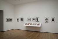 Photography Collection: Rotation 6. Aug 7, 2009–Mar 22, 2010. 8 other works identified